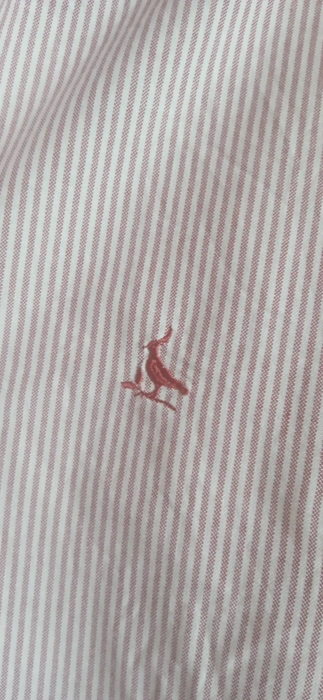 Pánská košile Charles Tyrwhitt 